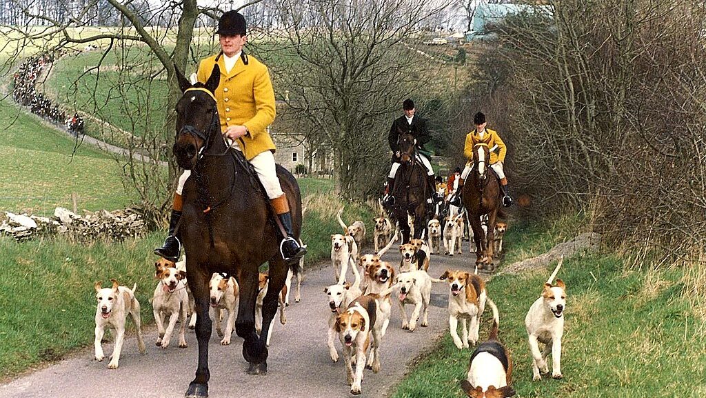 Why is the UK Government Killing the Countryside?