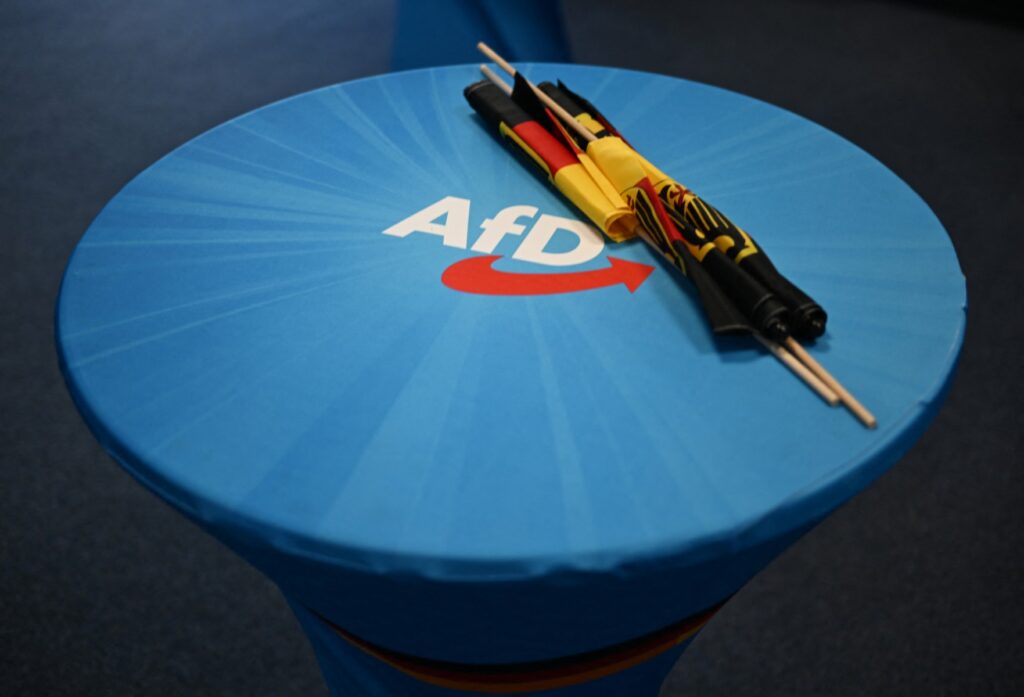 CDU MPs Question AfD Firewall, Open to Minority Cooperation