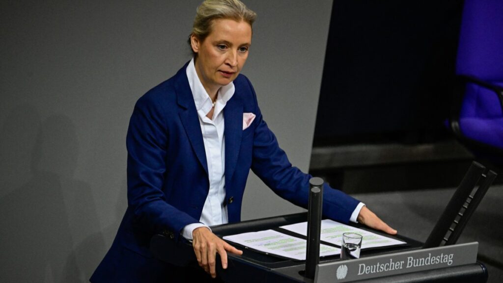 German Court Blocks Intelligence Agency From Branding AfD ‘Confirmed Extremist’