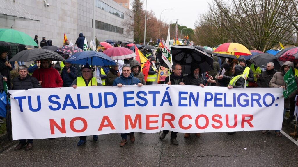 How Mercosur Is Set To Harm the European Economy