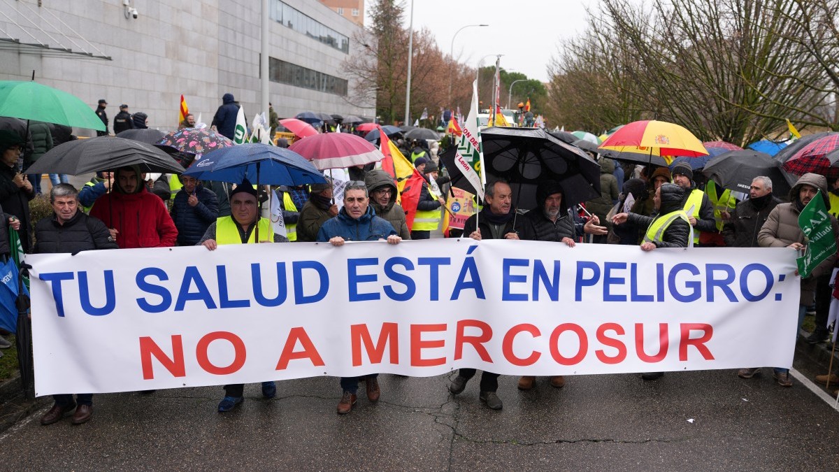 How Mercosur Is Set to Harm the European Economy