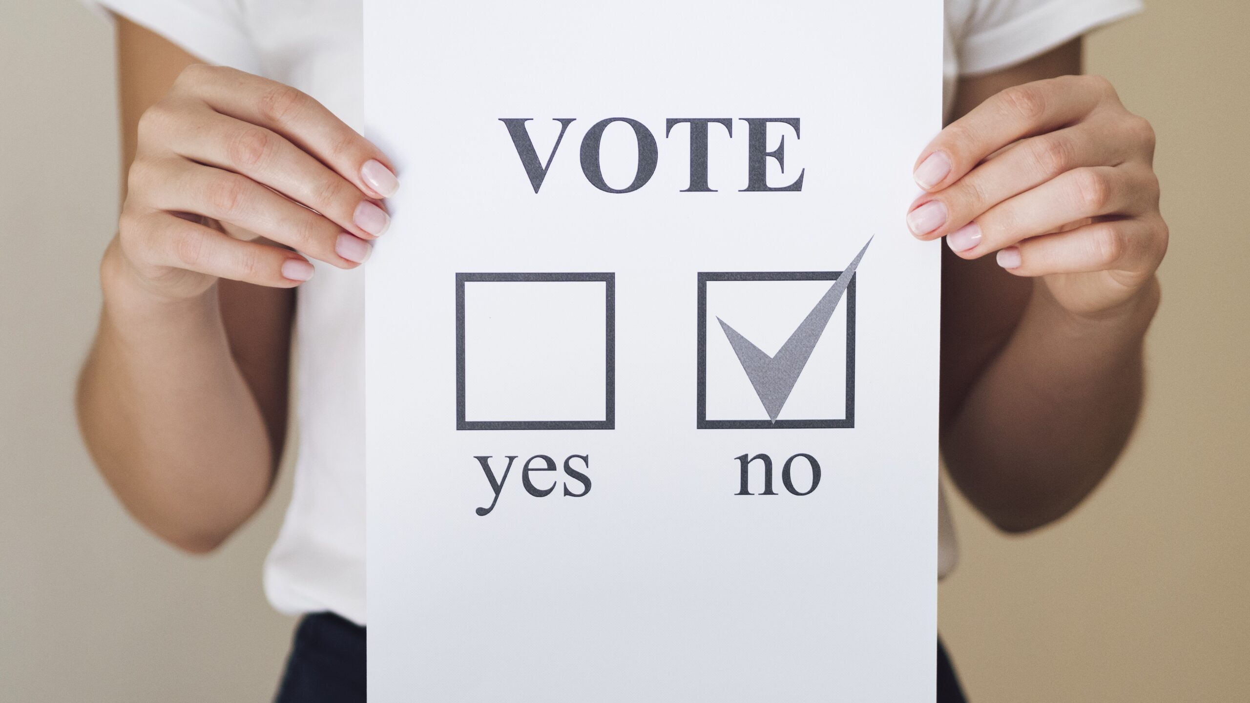 Yes-no vote picture (illustration of opinion poll)