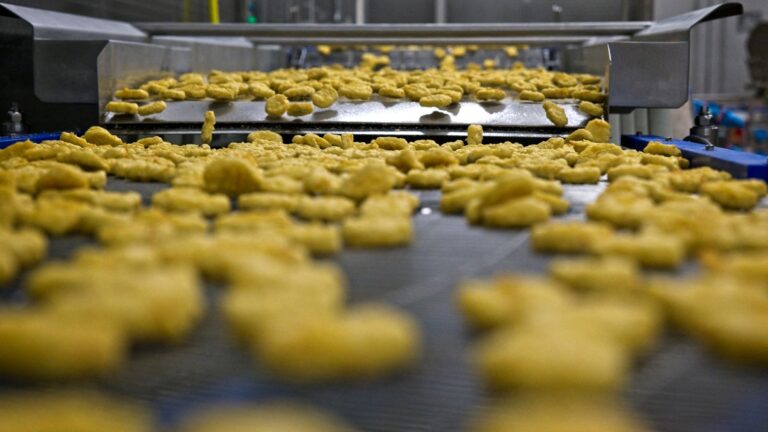 A Cargill conveyor belt pools out chicken nuggets in the company’s factory in Orléans, Central France.