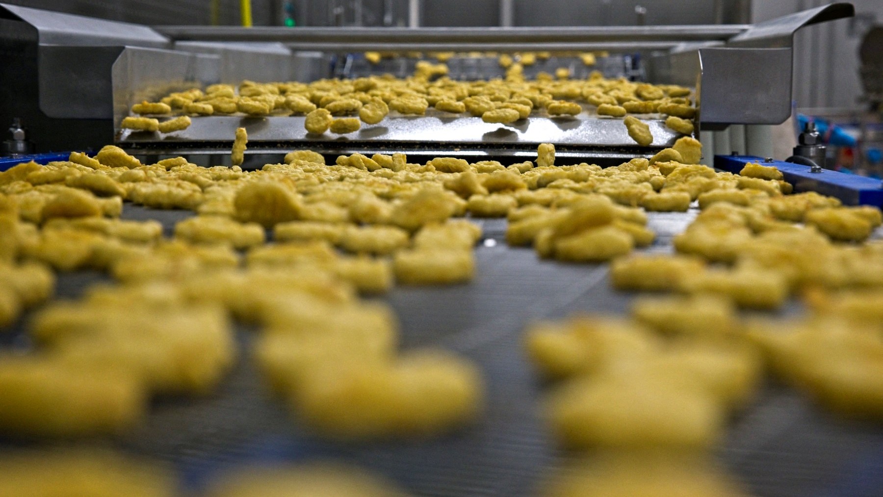 A Cargill conveyor belt pools out chicken nuggets in the company’s factory in Orléans, Central France.