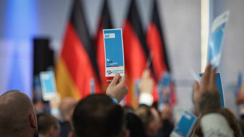 German Schools Block Students From AfD Work Placements