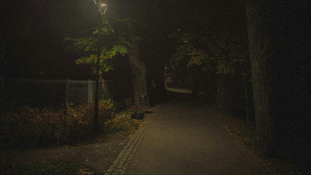 Germany: Migrant Gang Sexually Abuses Minors