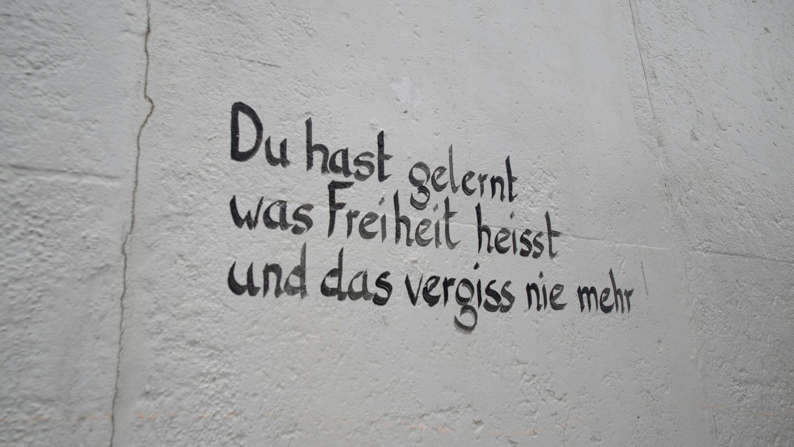 Hungary Offers Greater Freedom of Speech Than Germany, MCC Media School Head Says