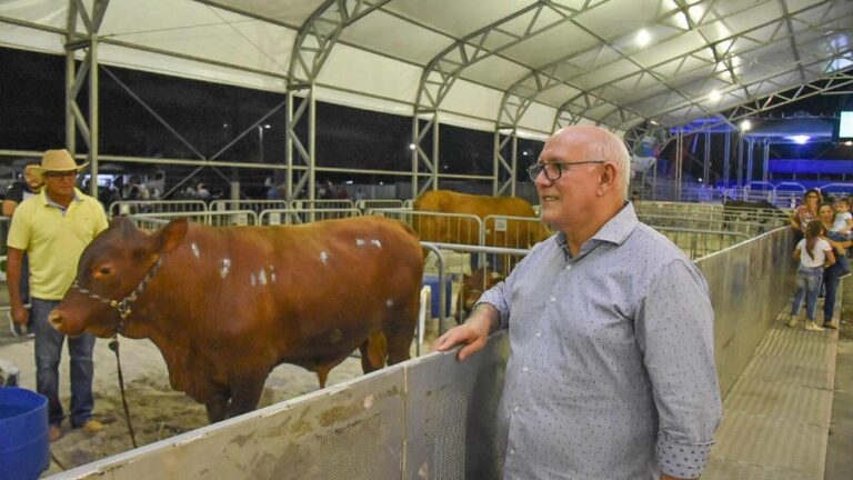 Cattle market in Fazendinha, Macapá, Amapá, Brazil