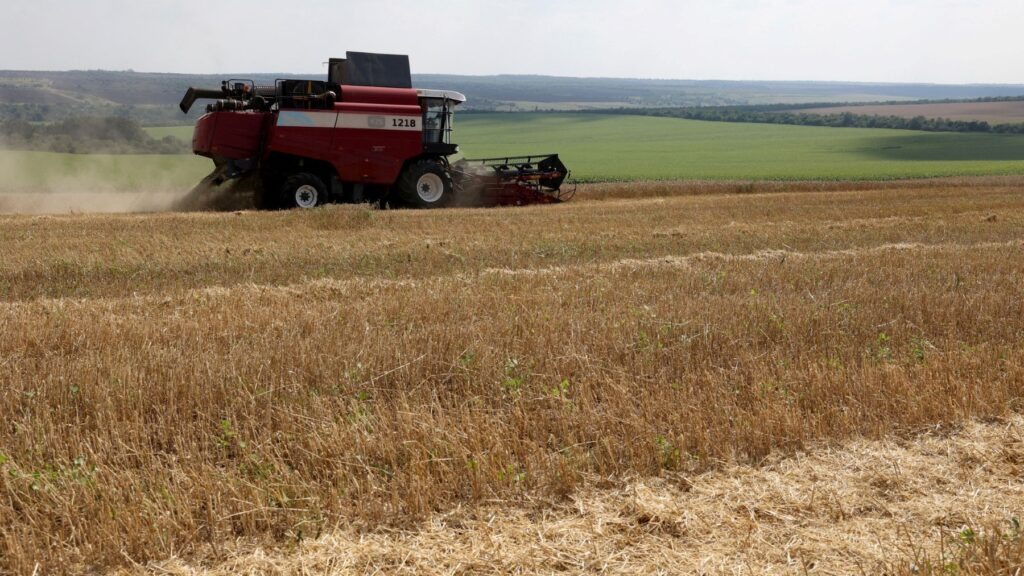 Farmers Outraged as New Hungarian Government Opens Door to Ukrainian Grain Imports