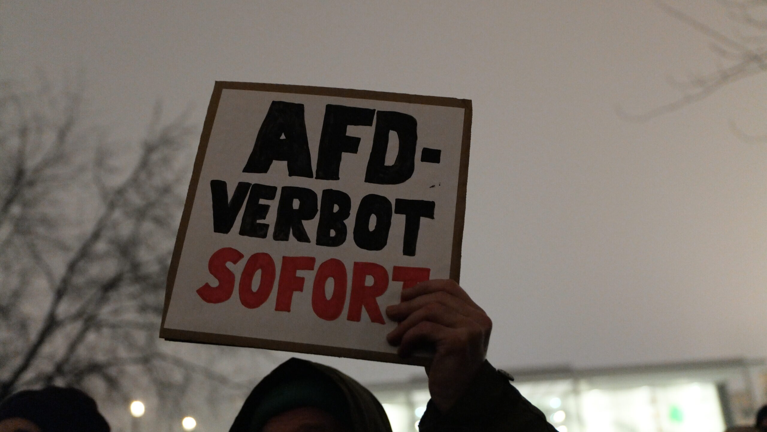 German Publisher Faces Losing Award After Backlash Over AfD Links