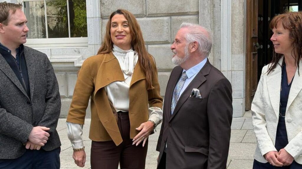 Lawyer and commentator Nick Delehanty, Laoise De Brún, founder of the Women’s Coalition on Immigration, Dáil Éireann member Ken O’Flynn (Independent Ireland), and South Dublin County Councillor Linda de Courcy (L-R)