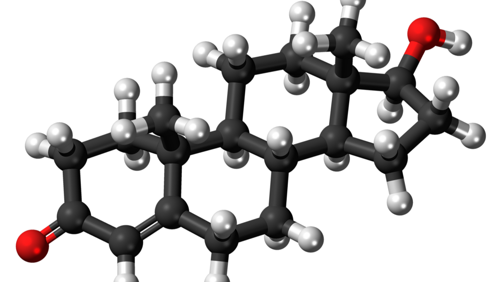 Testosterone Levels in Men: 54% Decline Between 1972 and 2019 