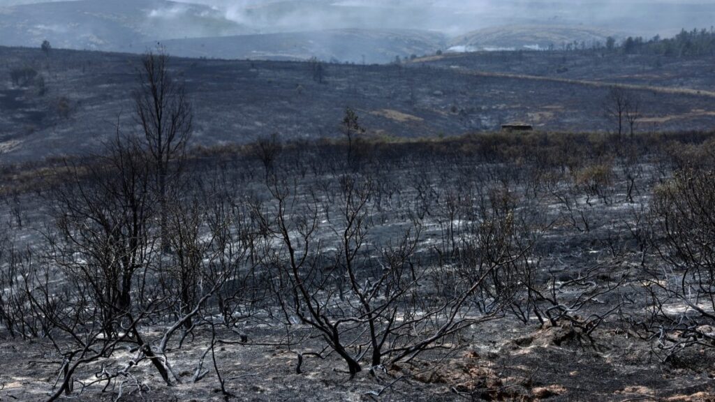 Spain Records Largest Wildfire in Its History as Citizens Protest Slow Government Response