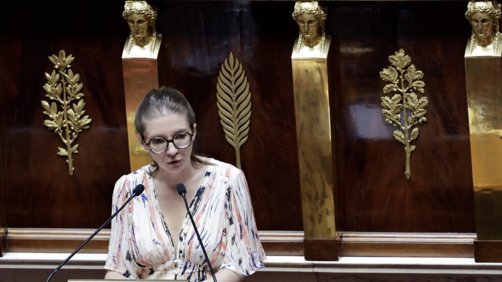 France Targets Online Anonymity Under the Guise of Child Protection