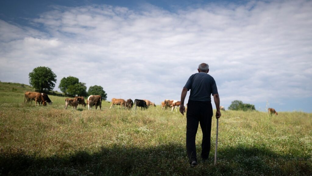 Bulgaria Bringing In Migrant Labour