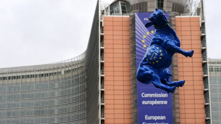 The statue of a cow painted with the European flag colours and with a writing reading “The fair milk” is hung in front of the European Commission building during a farmers demonstration on September 7, 2015, in Brussels.